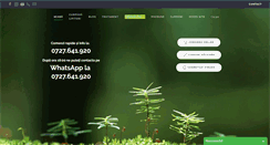 Desktop Screenshot of lipitori.ro
